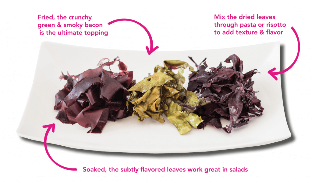 花園美食培根 80gr