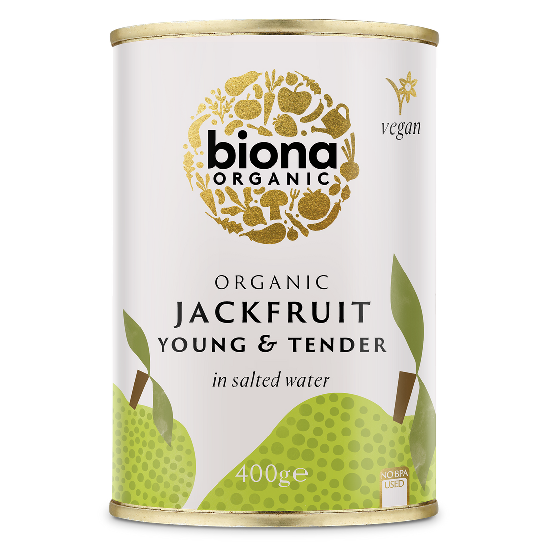 Biona Organic Jackfruit Salt Water 400gr glutenfree