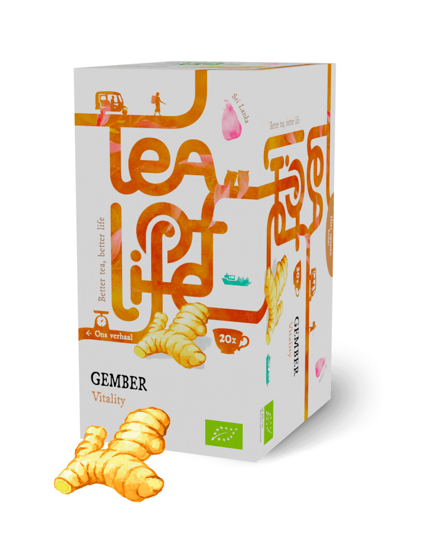 Tea of Life Organic Ginger Vitality 20x