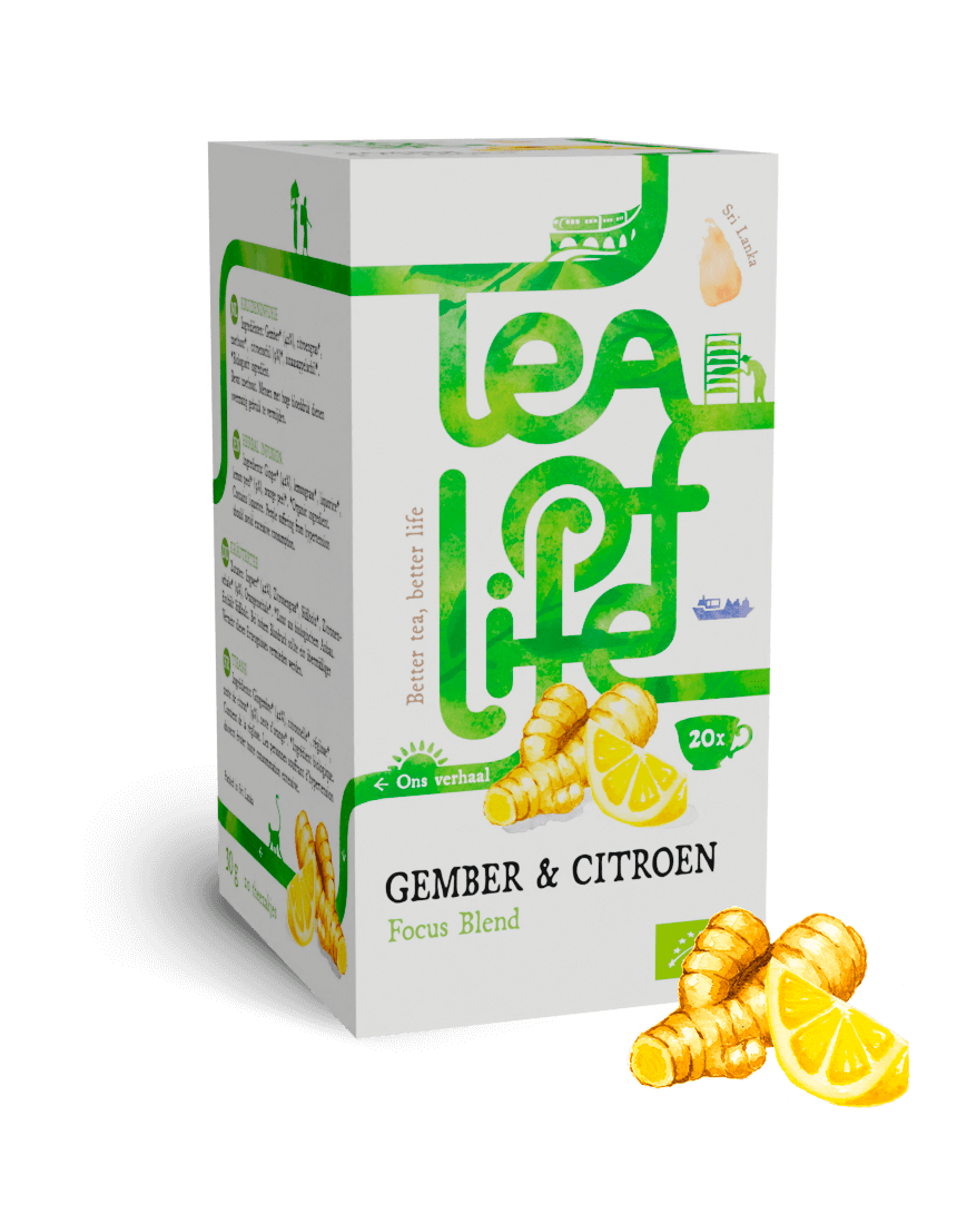 Tea of Life Organic Ginger Lemon 20x