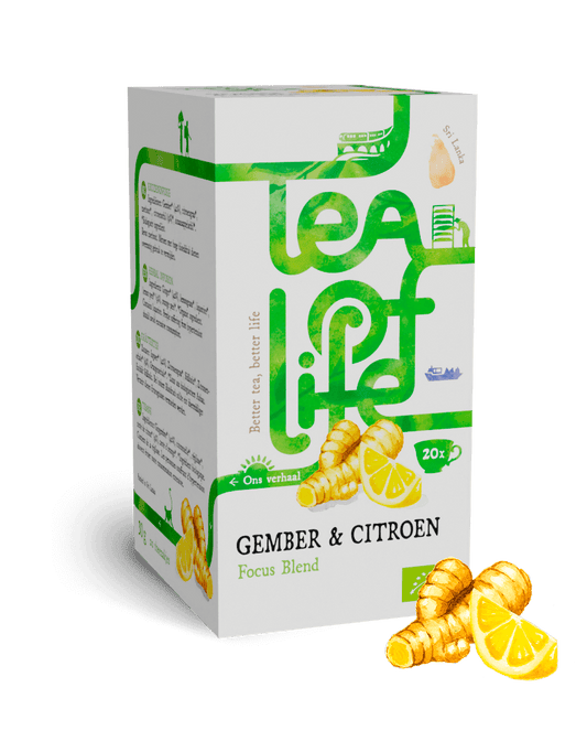 Tea of Life Organic Ginger Lemon 20x