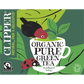 Clipper Organic Tea Pure Green 20 unbleached teabags