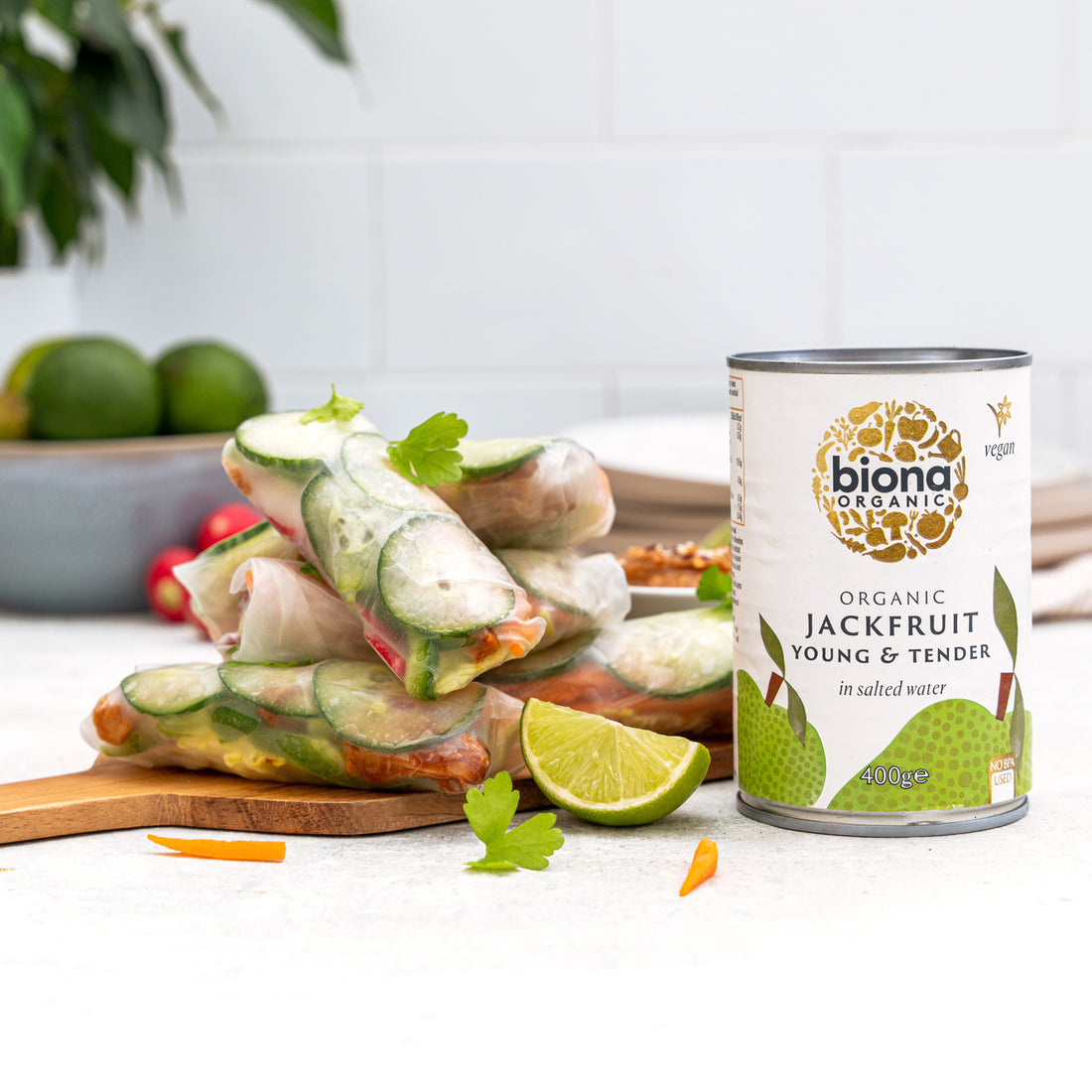 Biona Organic Jackfruit Salt Water 400gr glutenfree
