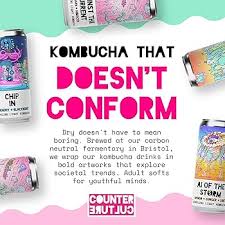 Counter Culture Organic Kombucha Soda Raspberry Elderflower 330ml glutenfree